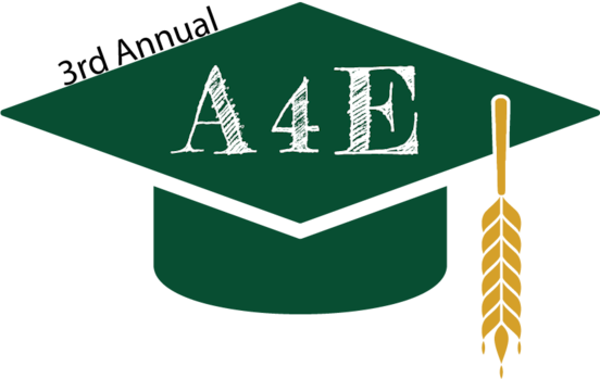 3rd Annual A4E Champion Icon